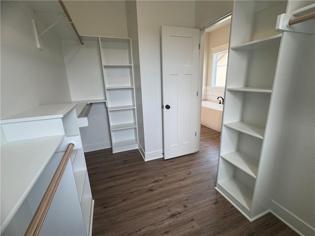 15610 Sheridan Ct, Basehor, KS 66007 - walk in closet with dark wood-style flooring