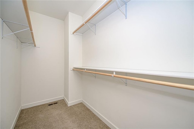 2500 Gabrianna Ct, Columbia, MO 65203 - walk in closet featuring carpet floors and visible vents