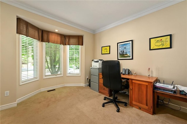 7419 Constance St, Shawnee, KS 66216 - home office with ornamental molding, healthy amount of natural light, light carpet, and baseboards