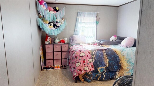 16762 E Lady Rd, Nevada, MO 64772 - photo 14
