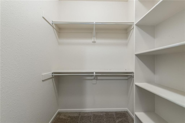875 Clearview Dr, Lansing, KS 66043 - walk in closet featuring carpet floors