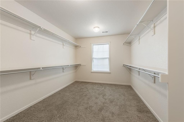 875 Clearview Dr, Lansing, KS 66043 - spacious closet with carpet