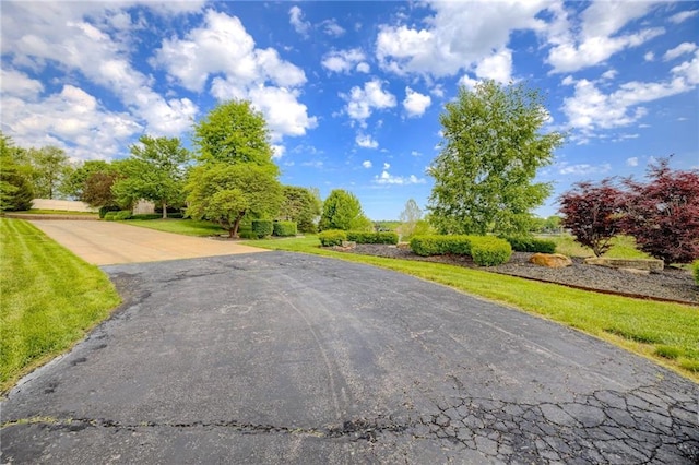 view of asphalt road