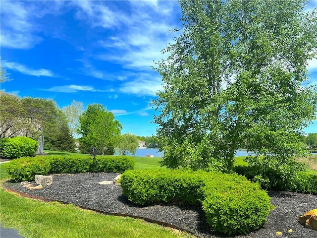 view of community featuring a water view