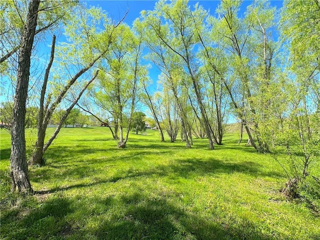 view of grassy yard