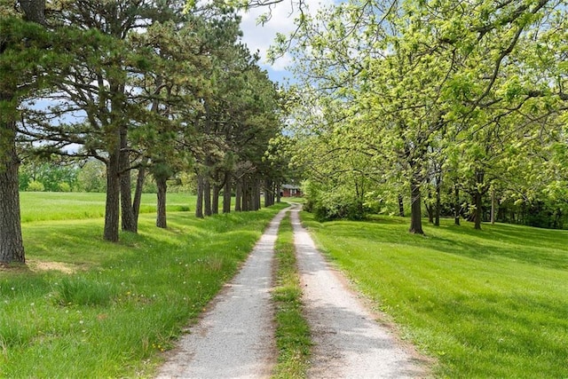 588 NW 105th Rd, Centerview, MO 64019 - view of dirt / gravel road