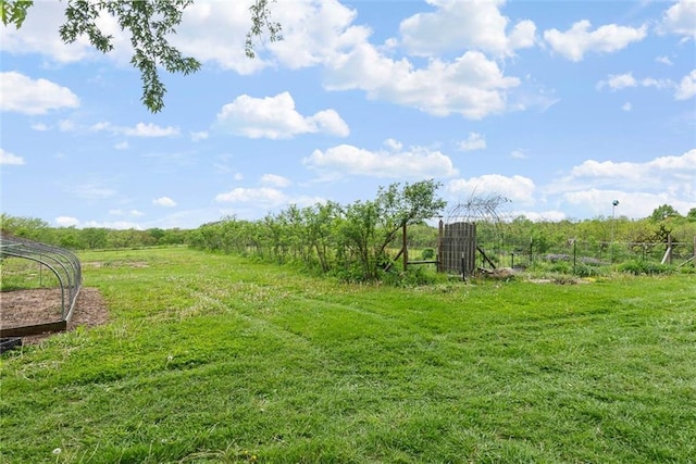588 NW 105th Rd, Centerview, MO 64019 - view of yard with a view of rural / pastoral area