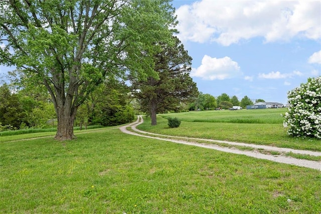 588 NW 105th Rd, Centerview, MO 64019 - surrounding community with a yard