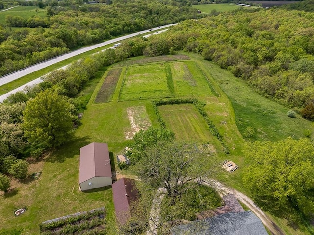 588 NW 105th Rd, Centerview, MO 64019 - overview of rural landscape