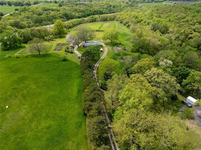 588 NW 105th Rd, Centerview, MO 64019 - drone / aerial view