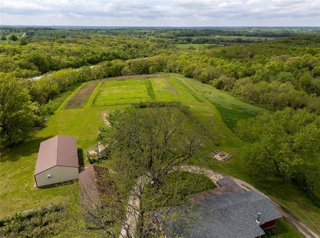 588 NW 105th Rd, Centerview, MO 64019 - aerial view of a forest