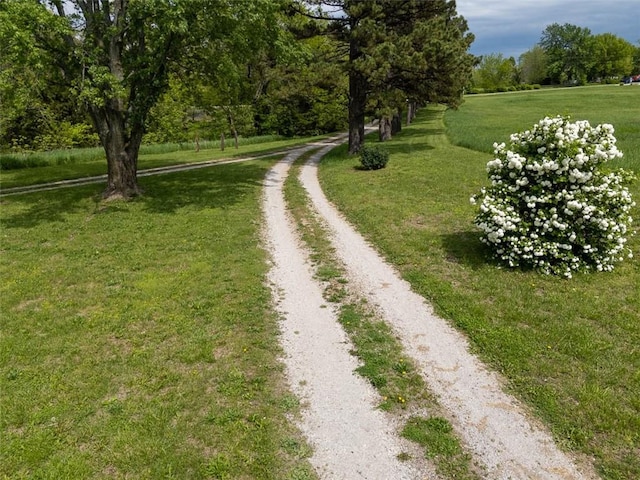 588 NW 105th Rd, Centerview, MO 64019 - view of street