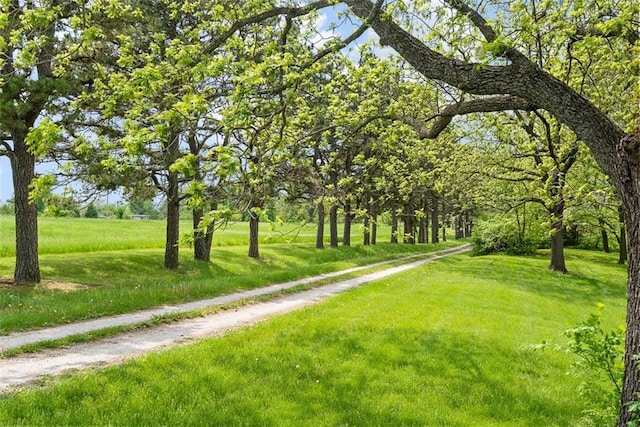 588 NW 105th Rd, Centerview, MO 64019 - view of property's community with a lawn