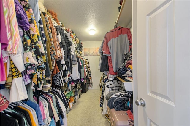 5912 NE Hidden Valley Dr, Lees Summit, MO 64064 - spacious closet with carpet