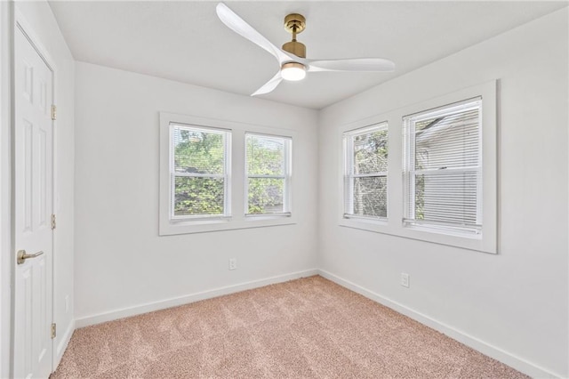 3801 Agnes Ave, Kansas City, MO 64128 - photo 11