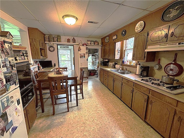 109 S State Route F, Garden City, MO 64747 - kitchen with a sink, light countertops, under cabinet range hood, a drop ceiling, and white appliances