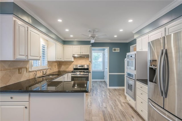 11801 Avila Dr, Kansas City, MO 64114 - kitchen with stainless steel appliances, under cabinet range hood, recessed lighting, ornamental molding, and white cabinetry