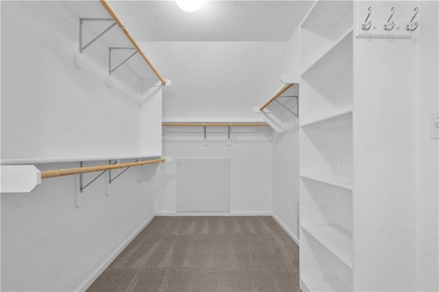 7406 W 145th Ter, Overland Park, KS 66223 - walk in closet with carpet flooring