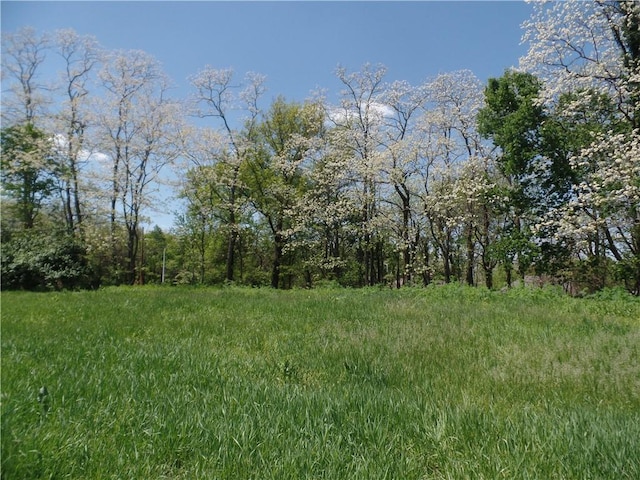 9121 NW Old Stagecoach Rd, Kansas City, MO 64154 - view of local wilderness