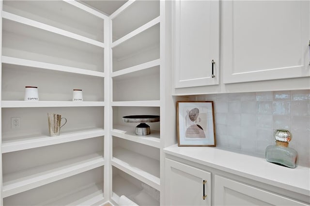 17045 S Highland Ridge Dr, Loch Lloyd, MO 64012 - view of storage area