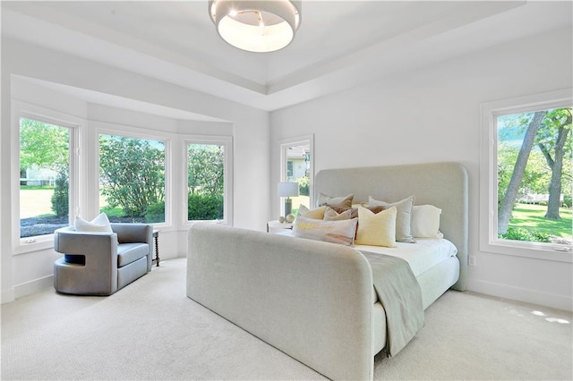 17045 S Highland Ridge Dr, Loch Lloyd, MO 64012 - bedroom featuring carpet flooring, baseboards, and a raised ceiling