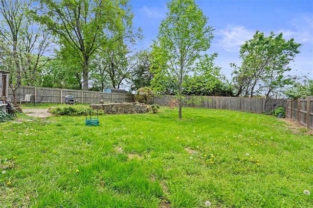 view of yard featuring a fenced backyard