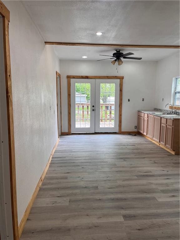 101 S Andrick St, Fort Scott, KS 66701 - unfurnished dining area with french doors, a sink, a ceiling fan, and a healthy amount of sunlight