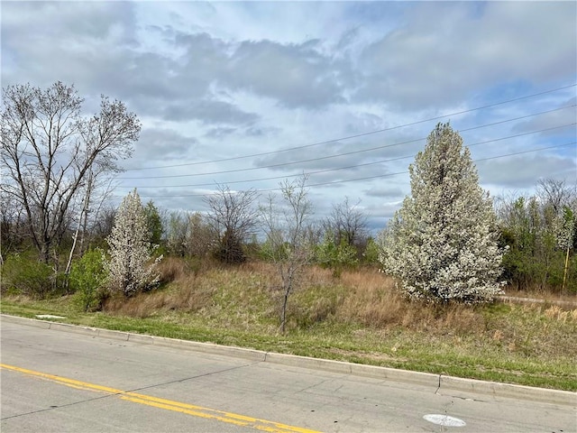 NE Jefferson St NE, Blue Springs, MO 64014 - photo 4
