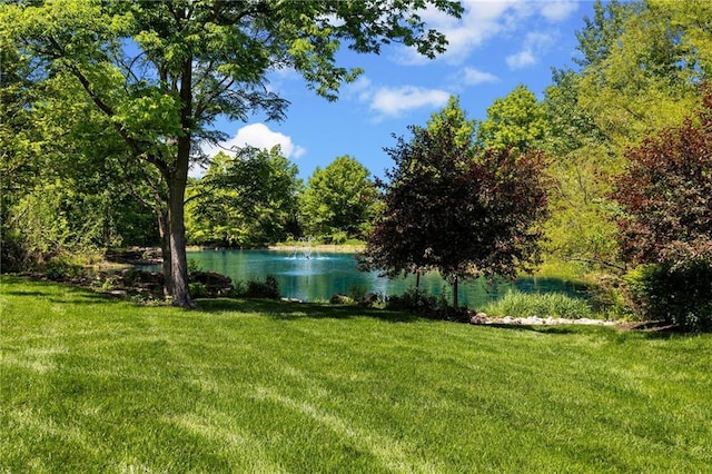 11095 W 192nd Pl, Overland Park, KS 66083 - photo 65