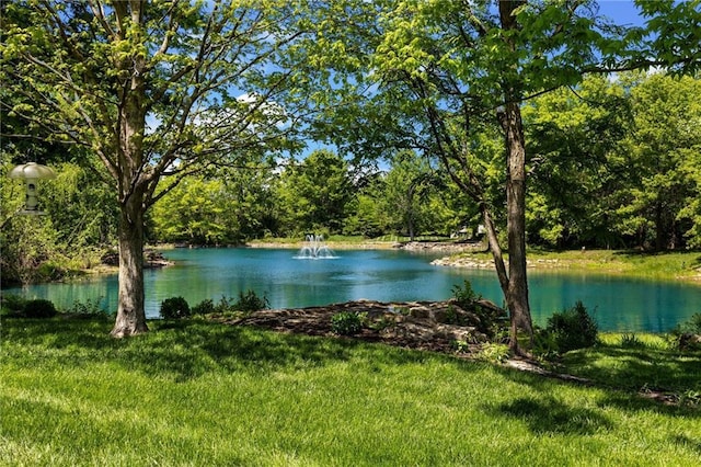 11095 W 192nd Pl, Overland Park, KS 66083 - photo 66