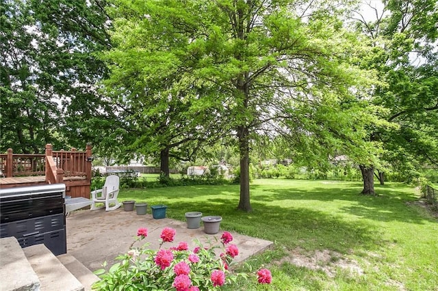 view of grassy yard featuring a patio and a wooden deck