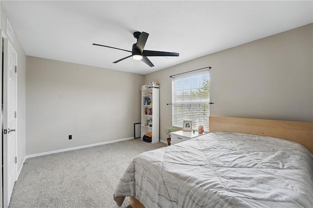 5431 Hickory St, Kansas City, MO 64118 - photo 19