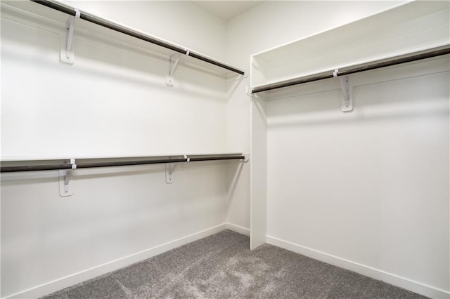 16502 S Stagecoach St, Olathe, KS 66062 - walk in closet with carpet floors