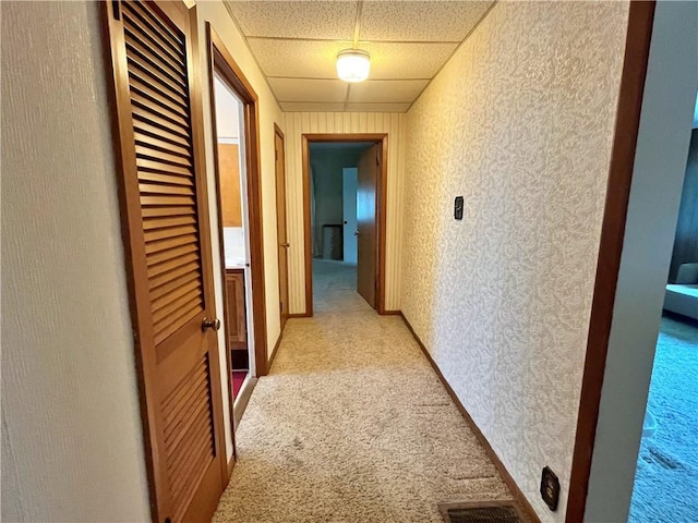 hall with light colored carpet, a drop ceiling, and visible vents