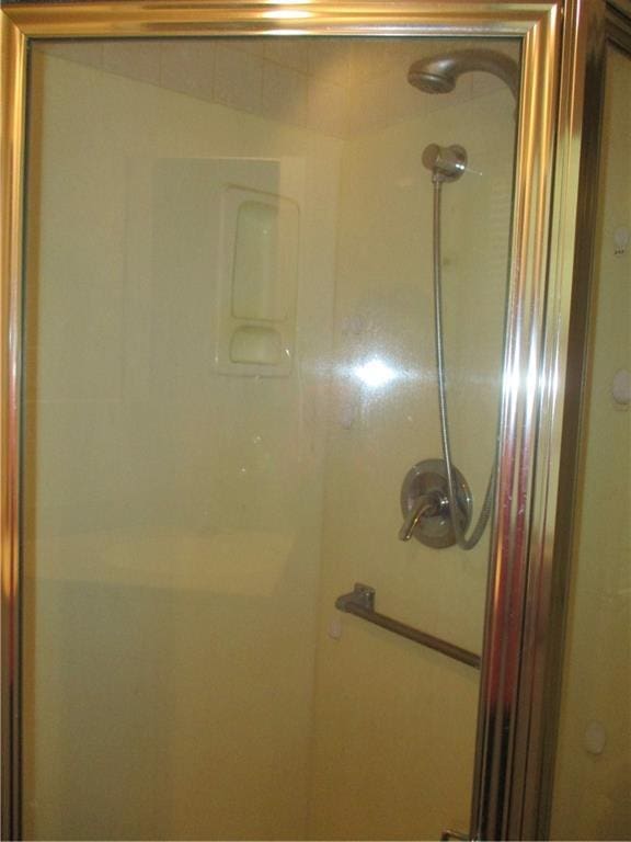 bathroom featuring a shower stall