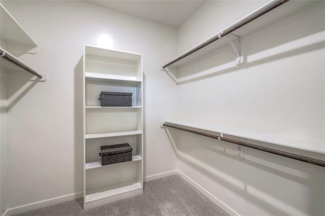 16567 S Stagecoach St, Olathe, KS 66062 - spacious closet with carpet floors