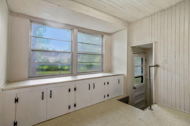interior space with wood walls