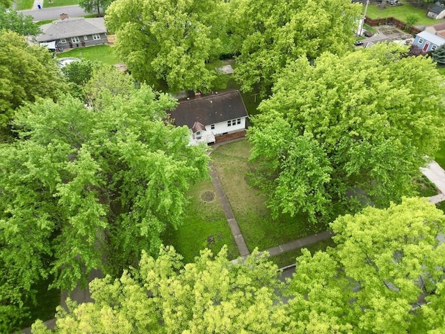 drone / aerial view