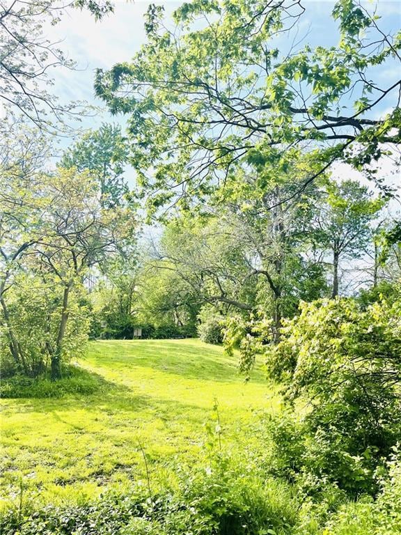 336 E Park St, Olathe, KS 66061 - view of undeveloped land