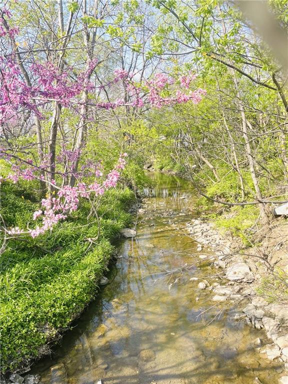 336 E Park St, Olathe, KS 66061 - view of local wilderness