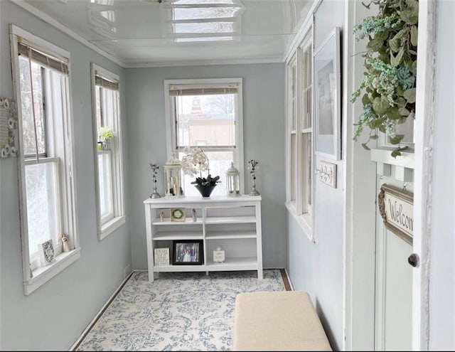 336 E Park St, Olathe, KS 66061 - doorway with crown molding, plenty of natural light, baseboards, and carpet flooring