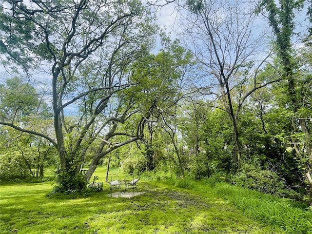 336 E Park St, Olathe, KS 66061 - view of local wilderness