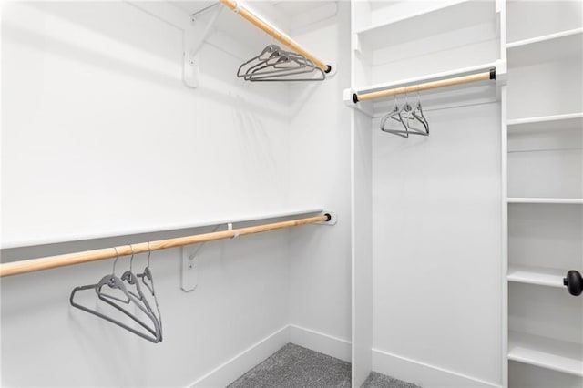 view of spacious closet