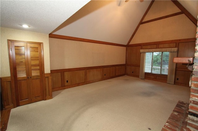 6726 Mill Creek Rd, Shawnee, KS 66217 - unfurnished living room featuring wainscoting, lofted ceiling, carpet, and a textured ceiling