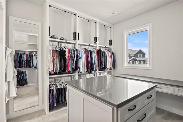 11201 W 169th St, Overland Park, KS 66221 - walk in closet featuring light carpet