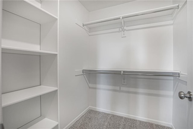 walk in closet featuring carpet