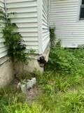 528 N Washington St, Nevada, MO 64772 - exterior view