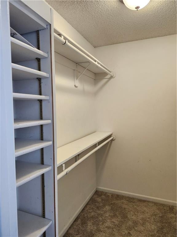 walk in closet with carpet