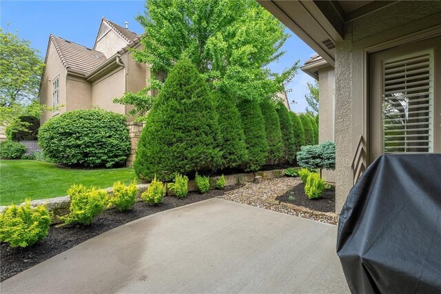 view of patio with area for grilling