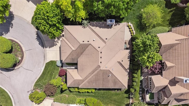 bird's eye view